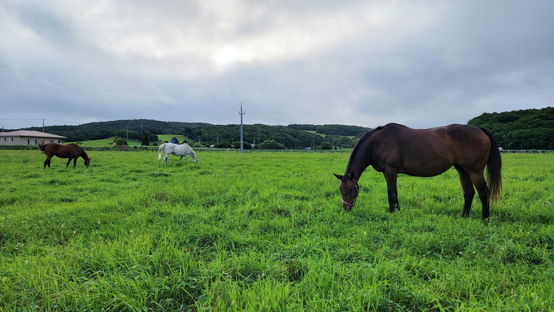 9ee61482742cb9fd0a892ab3713843f6-1760933886.jpg 9ee61482742cb9fd0a892ab3713843f6-1760933886.jpg